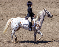 Equitation - Hunter Classes 20-25 Sunday 07.05.14