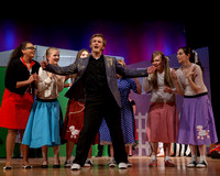Bye Bye Birdie