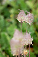 5DM41217_edited-1