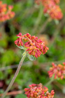 5DM41202_edited-1